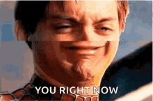 tobey spider