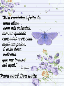 boa noite good night butterfly quote