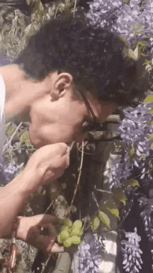 Daasbeivers Eating Grapes GIF - Daasbeivers Eating Grapes Hungry GIFs
