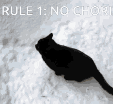 Rule1 GIF - Rule1 GIFs