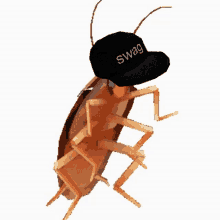 Roach Swag GIF - Roach Swag Swagroach GIFs