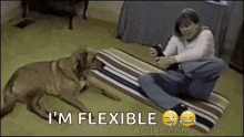 flexible better than you dog funny animals funny dog