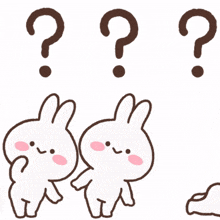 what question