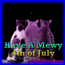 fireworks fourth of july usa cats independence day