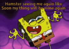 spongebob laughing hysterically evil laugh hamster seeing me again spongebob laughing hysterically evil laugh hamster seeing me again