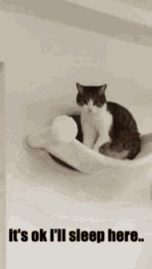 Alone Cuddle GIF - Alone Cuddle Cat GIFs