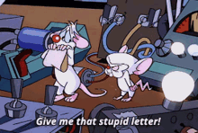 pinky and the brain the brain give me that stupid letter give me that stupid letter