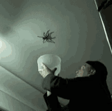 Spiders Bugs GIF - Spiders Bugs Scared GIFs