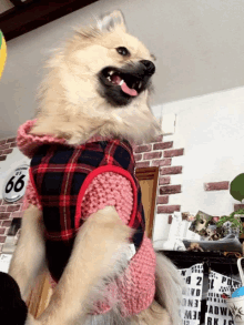 Dog Woof GIF - Dog Woof Pomeranian GIFs