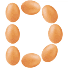 eggs d xd eggs c hickens f unny