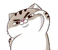 Ami Fat Cat Sticker - Ami Fat Cat Salute Stickers