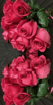 Red Roses In Waters Water Roses GIF - Red Roses In Waters Water Roses GIFs