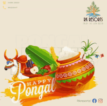 Pongal Happy GIF - Pongal Happy Images GIFs