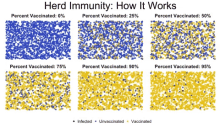 vaccinate vax immunity heard