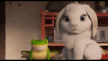Rabbit Frog GIF - Rabbit Frog Bunny GIFs