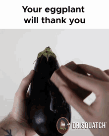 Eggplant Eggplants GIF - Eggplant Eggplants Your Eggplant Will Thank You GIFs