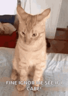 Cat Ignore GIF - Cat Ignore Head Tilt GIFs