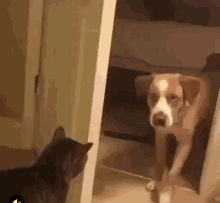 Door Closed Go Out GIF - Door Closed Go Out GIFs