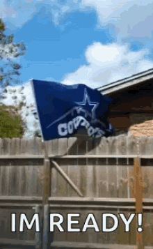 Cowboys Windy GIF - Cowboys Windy Flag GIFs