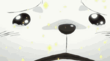 Law And Bepo Bepo And Law GIF - Law And Bepo Bepo And Law Anime GIFs