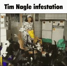 Cat Tim Nagle GIF - Cat Tim Nagle GIFs