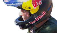 Staring Red Bull Sticker - Staring Red Bull Focused Stickers