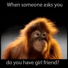 Girl Friend When Someone Asks You If Youre Single GIF - Girl Friend When Someone Asks You If Youre Single When Someone Asks Why Are You Single GIFs