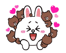 brown bear cony brown brown and cony cony and brown