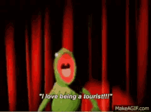 I Love Being A Tourist GIF - Tourist Kermit The Frog Kermit GIFs