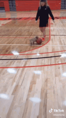 chasing basketball puppy cute golden retriever