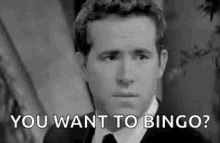 Bingo Ryan Reynolds GIF - Bingo Ryan Reynolds Smirk GIFs