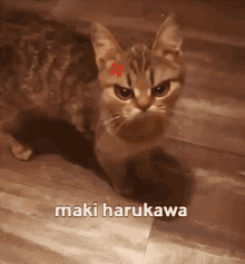 Danganronpa Maki GIF - Danganronpa Maki Maki Harukawa GIFs