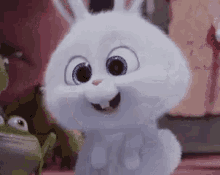 兔兔 兔子 动漫 动画 可爱 GIF - Bunny Rabbit Anime GIFs