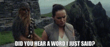 Star Wars Rey GIF - Star Wars Rey Did You Hear A Word I Just Said GIFs