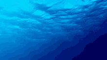 deepblue ocean