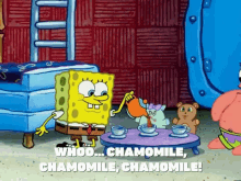 Chamomile Tea GIF - Chamomile Tea Spongebob GIFs