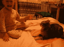 Hahaha GIF - Cat Baby Ouch GIFs
