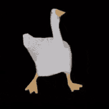Duck Dance GIF - Duck Dance Epic GIFs