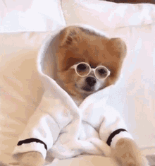 Breakfast In Bed Chillin GIF - Breakfast In Bed Chillin Living The Life GIFs