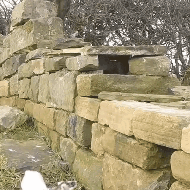 Sneaking Around Robert E Fuller GIF Sneaking Around Robert E Fuller