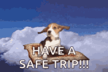 Go Pack GIF - Go Pack Traveling GIFs
