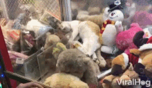 Viral Hog Videos Cat Stuck In A Claw Machine GIF - Viral Hog Videos Viral Hog Cat Stuck In A Claw Machine GIFs