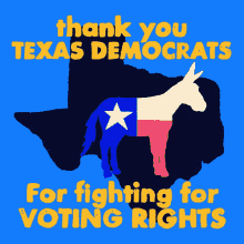 Thanks Texas Dems Texas Democrats GIF - Thanks Texas Dems Texas Democrats Texas Voting Rights GIFs