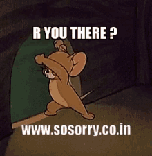 Jerry So Sorry GIF - Jerry So Sorry Funny GIFs