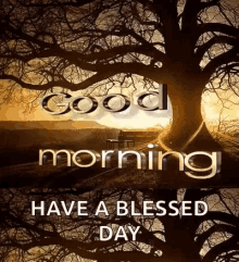 Good Morning Have A Blessed Day GIF - Good Morning Have A Blessed Day Good Day GIFs