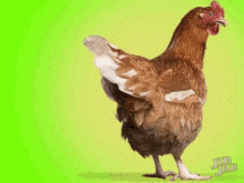 Lol Chicken GIF - Lol Chicken Egg GIFs