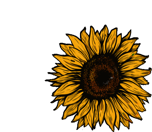 post malone sunflower sticker post malone sunflower sticker
