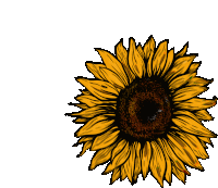 Sunflower Art Sticker - Sunflower Art Atack Stickers