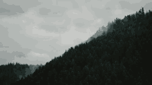 mountain clouds trees nature fog mountain clouds trees nature fog