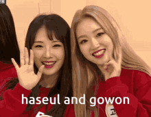 Haseul Gowon GIF - Haseul Gowon Loona GIFs